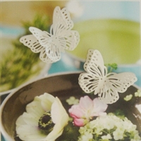 Magnet sommerfugle
